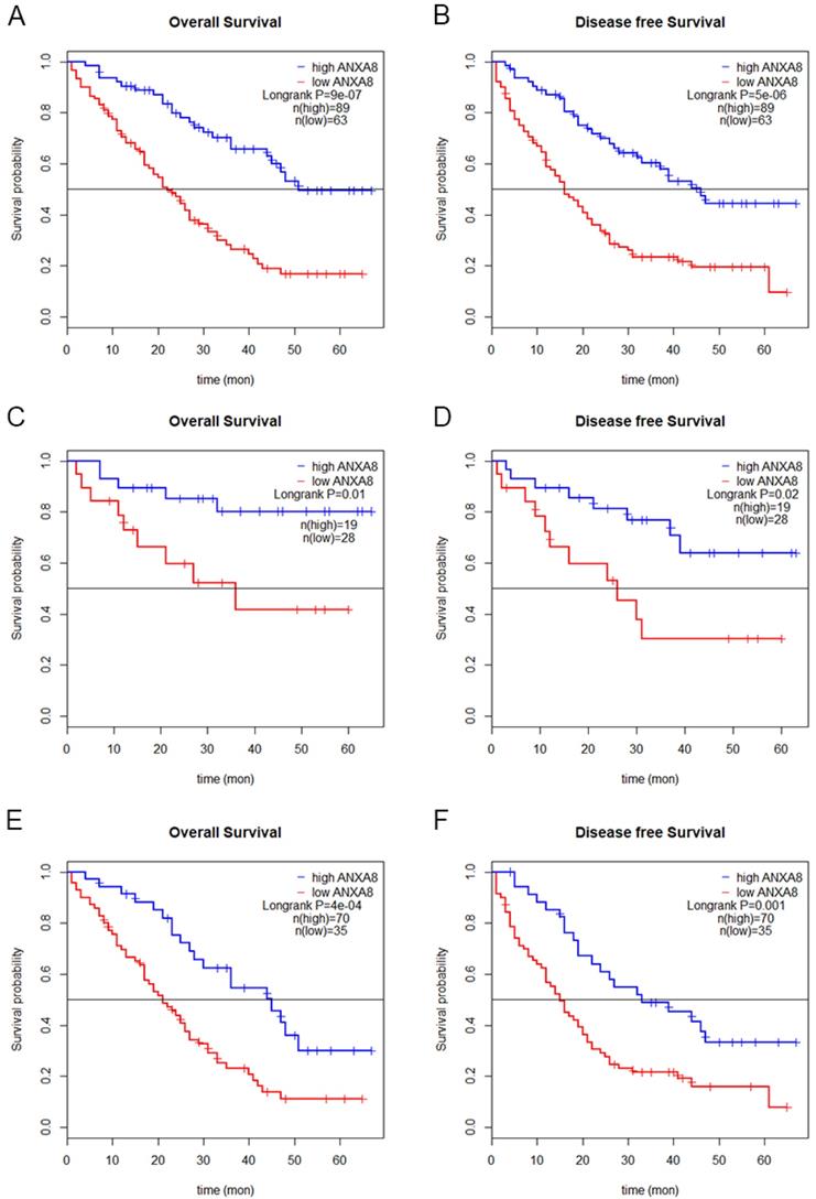 J Cancer Image