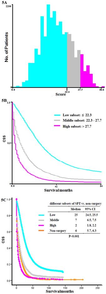 J Cancer Image