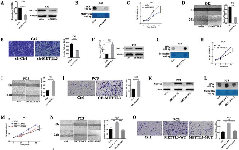 J Cancer Image