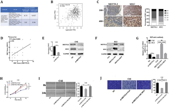 J Cancer Image