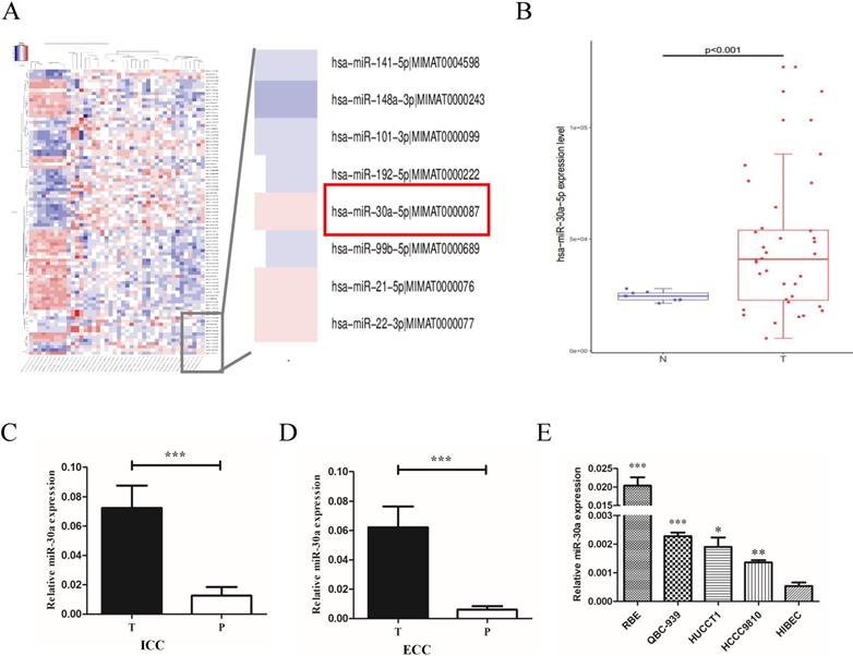 J Cancer Image