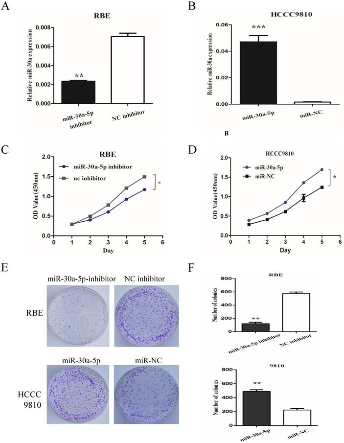 J Cancer Image