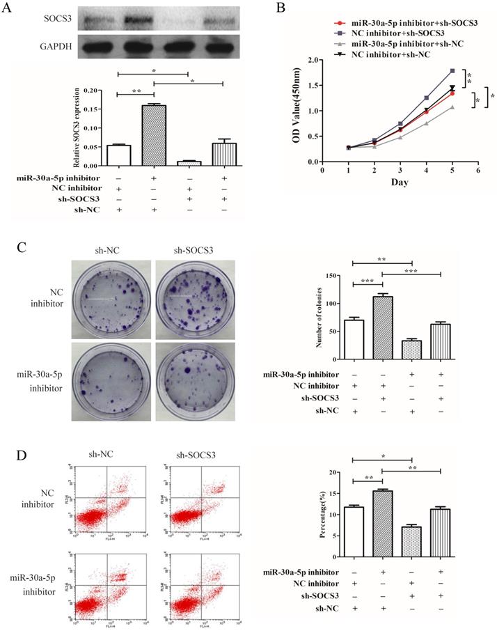 J Cancer Image