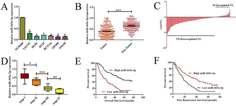 J Cancer Image