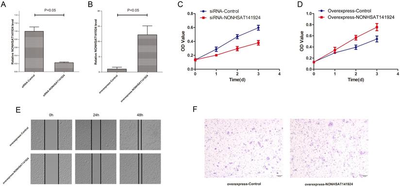 J Cancer Image