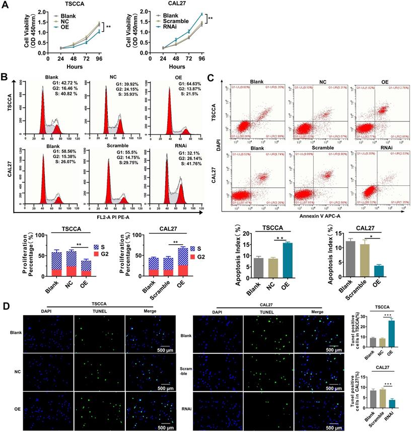 J Cancer Image