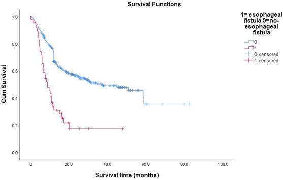 J Cancer Image