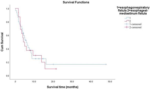 J Cancer Image