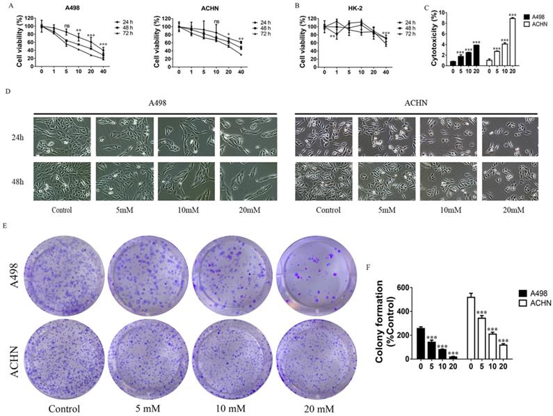 J Cancer Image