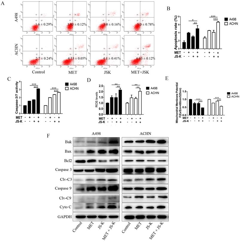 J Cancer Image