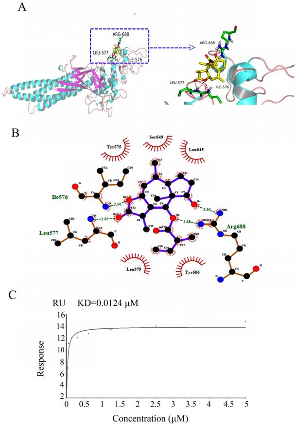 J Cancer Image