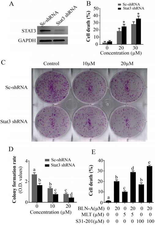 J Cancer Image