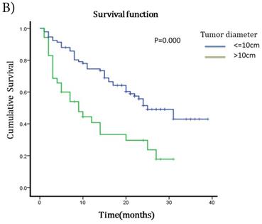 J Cancer Image