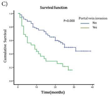 J Cancer Image