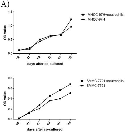 J Cancer Image