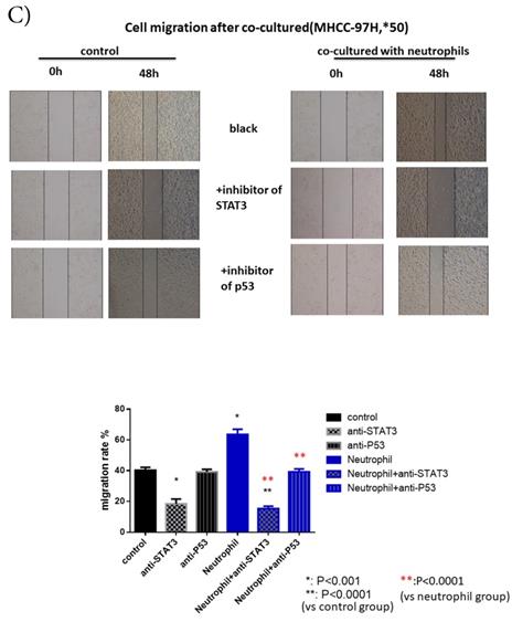 J Cancer Image