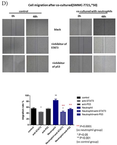 J Cancer Image