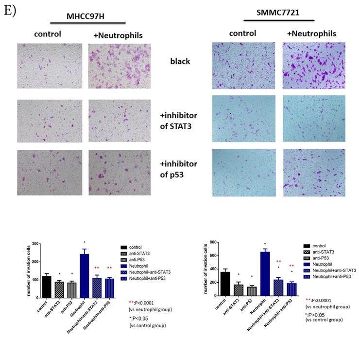 J Cancer Image