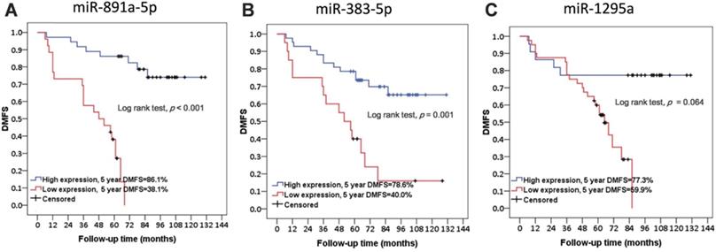 J Cancer Image