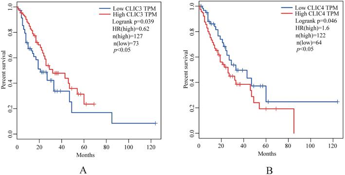 J Cancer Image