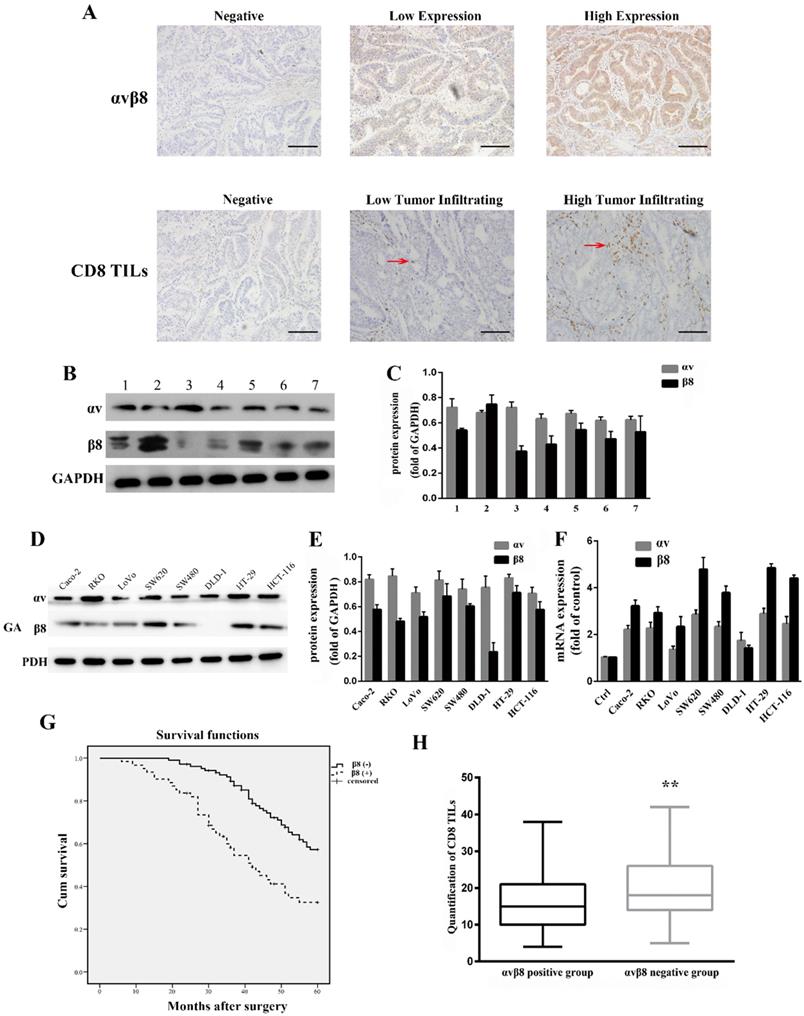 J Cancer Image