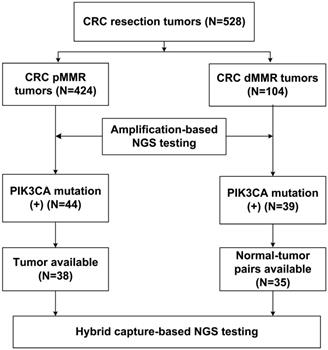 J Cancer Image