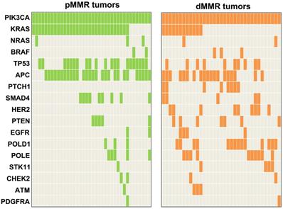 J Cancer Image