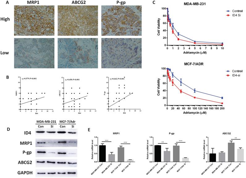 J Cancer Image