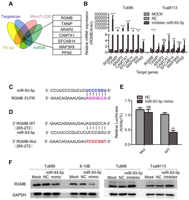 J Cancer Image