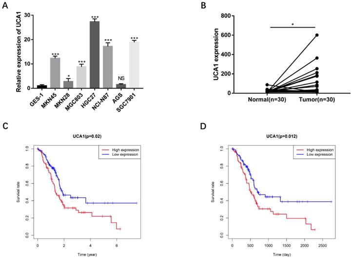 J Cancer Image