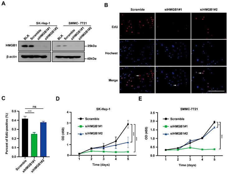 J Cancer Image