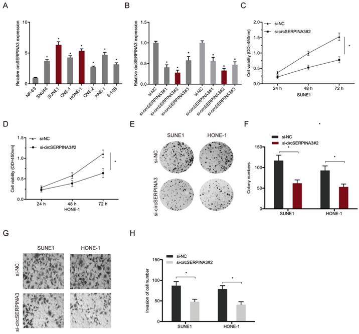 J Cancer Image