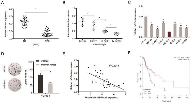 J Cancer Image