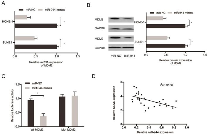 J Cancer Image