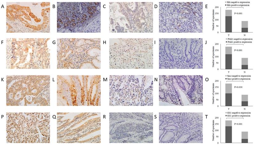 J Cancer Image