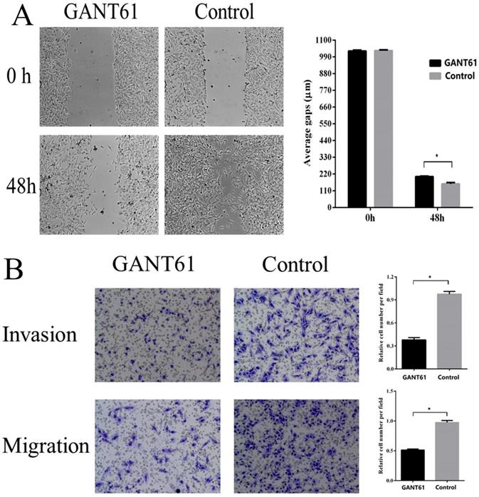 J Cancer Image