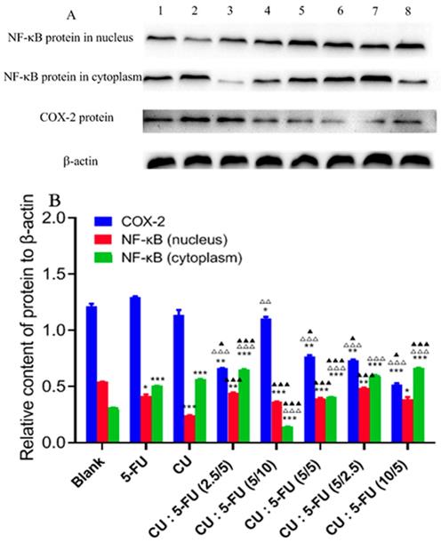 J Cancer Image