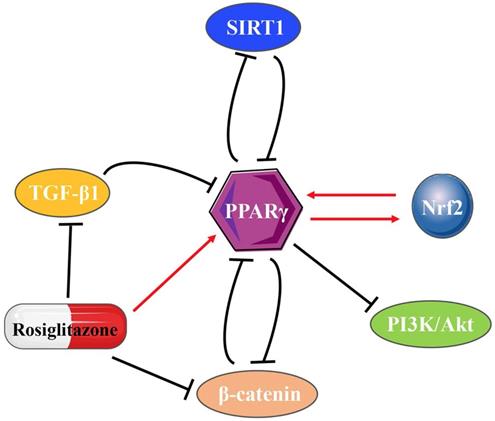 J Cancer Image