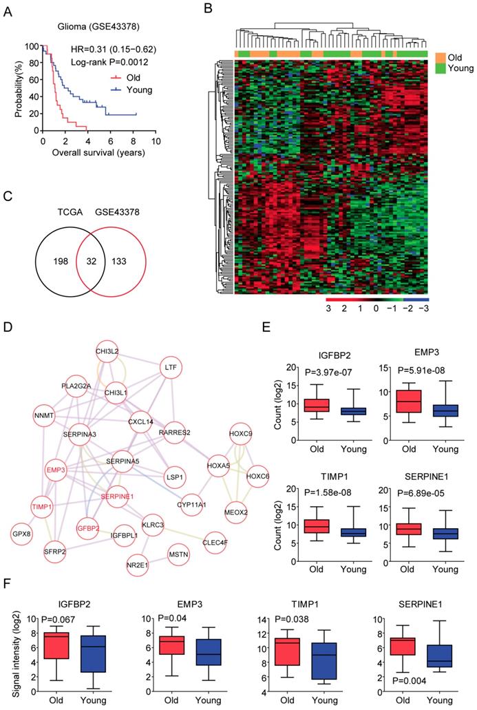 J Cancer Image