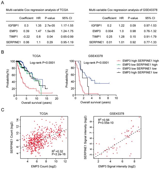 J Cancer Image