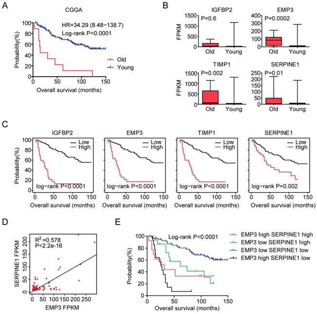 J Cancer Image