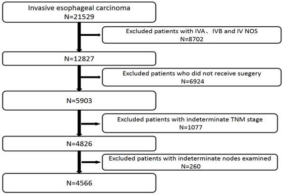 J Cancer Image