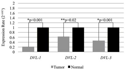 J Cancer Image