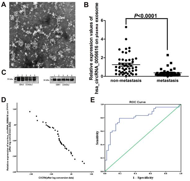 J Cancer Image