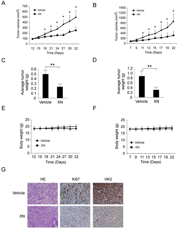 J Cancer Image