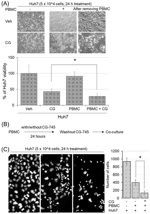 J Cancer Image