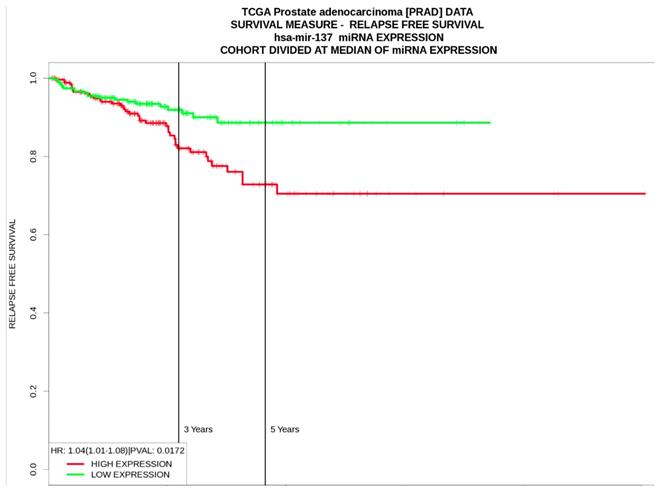 J Cancer Image