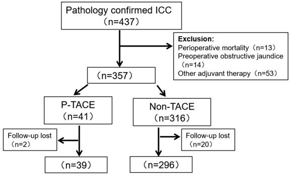 J Cancer Image