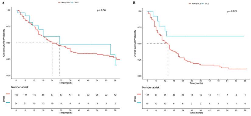 J Cancer Image