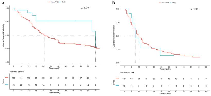 J Cancer Image